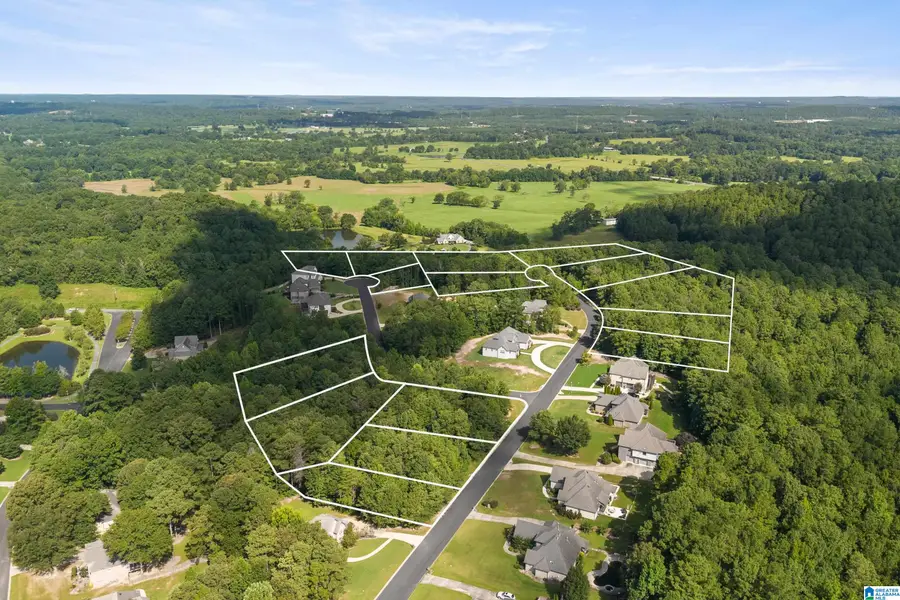 6531 IVY WALK, Greenwood, AL 35022 - #3