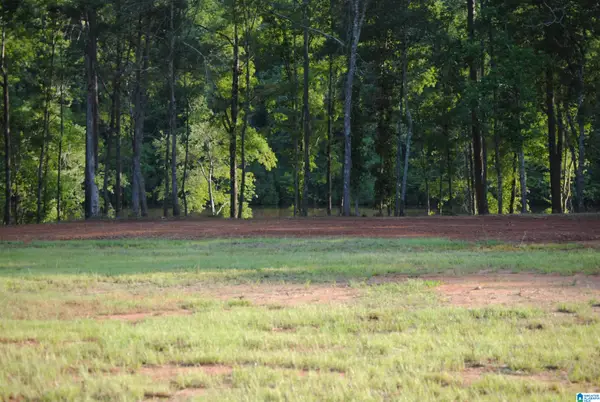 COUNTY ROAD 499, Woodland, AL 36280