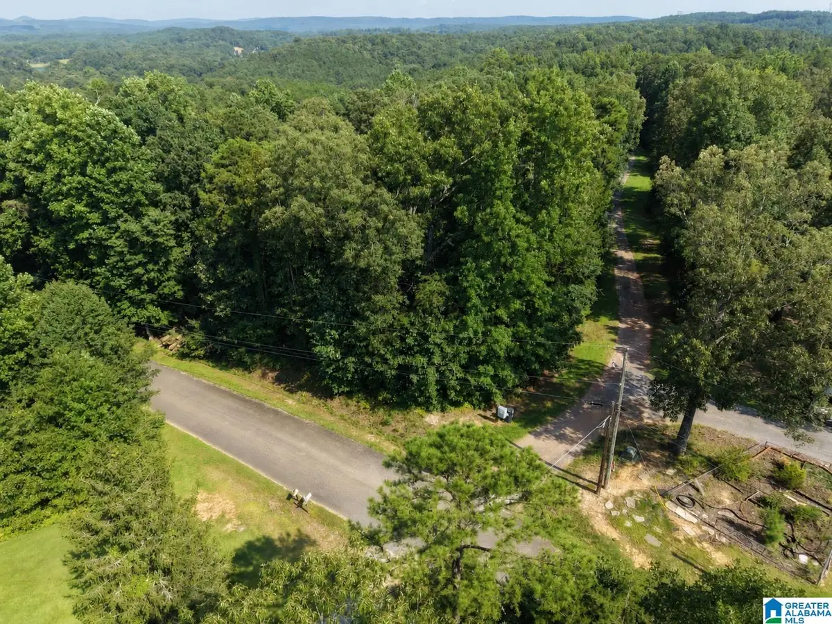 1555 HAGOOD MTN ROAD, Morris, AL 35116 - #1