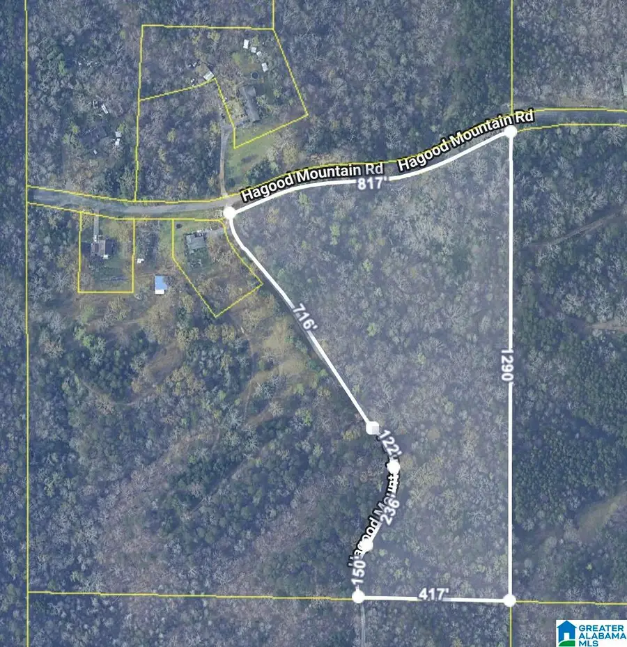 1555 HAGOOD MTN ROAD, Morris, AL 35116 - #2