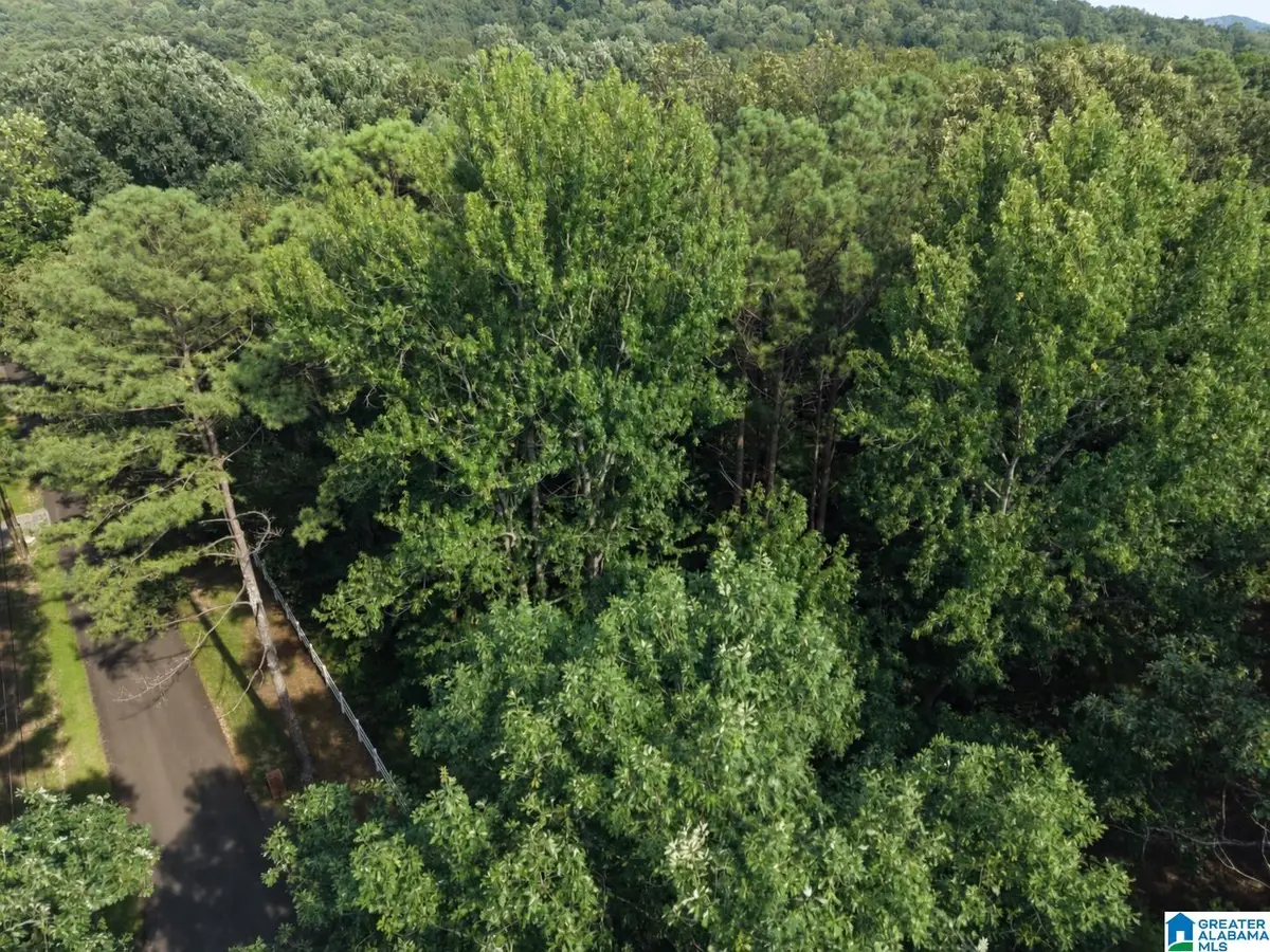 5389 OLD SHADOW LAKE ROAD, Pinson, AL 35126 - #1