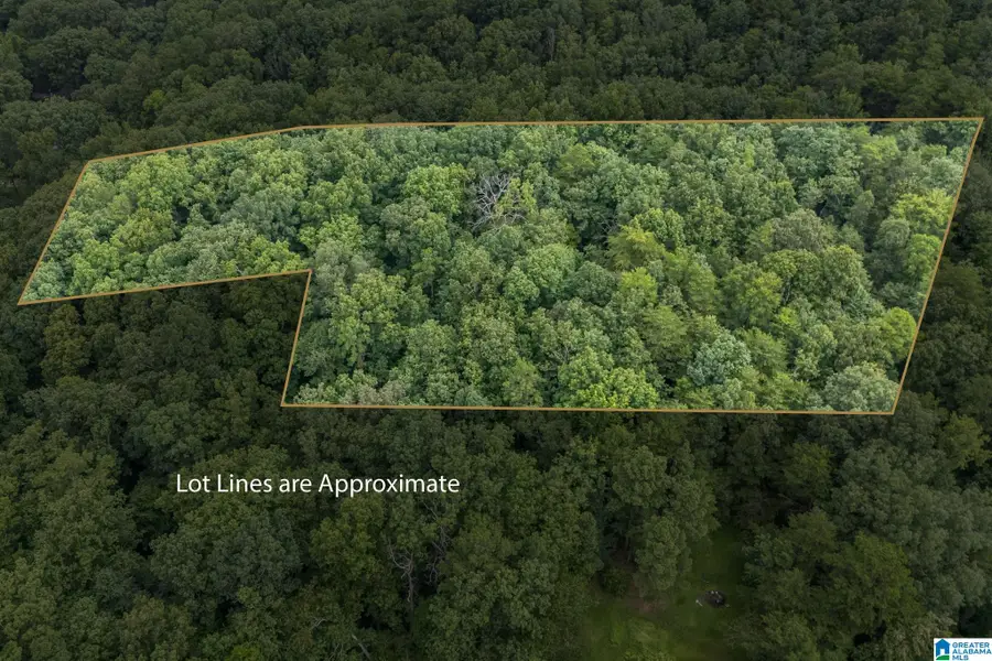 4719 INDIAN VALLEY ROAD, Birmingham, AL 35217 - #3