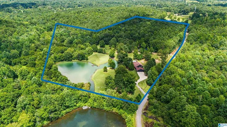 201 BENEFIELD GAP ROAD, Piedmont, AL 36272 - #2