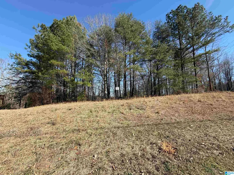 6480 WHITE OAK LANE, Hueytown, AL 35023 - #2