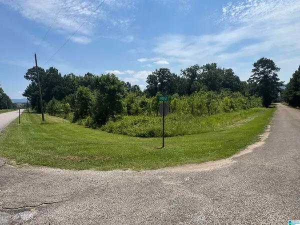 7 Acres SPENCER AVENUE, Piedmont, AL 36272