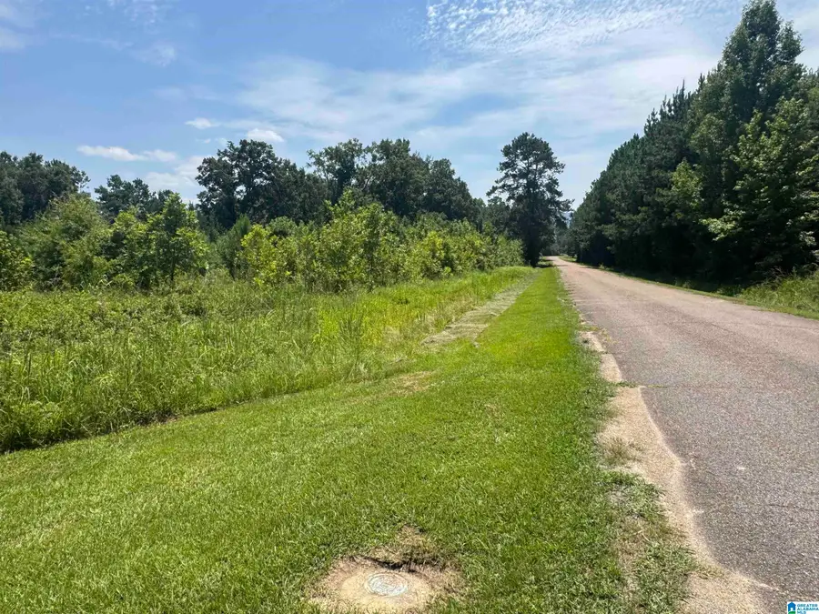 7 Acres SPENCER AVENUE, Piedmont, AL 36272 - #2