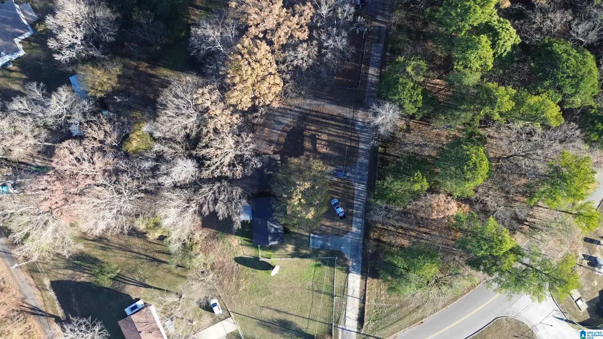 4196 PRINCE STREET, Bessemer, AL 35022 - #1