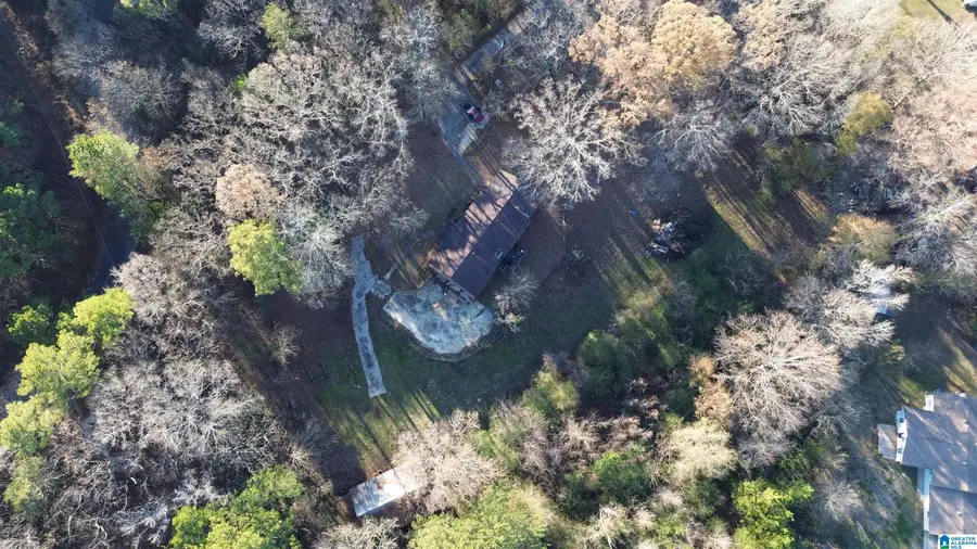 4196 PRINCE STREET, Bessemer, AL 35022 - #3