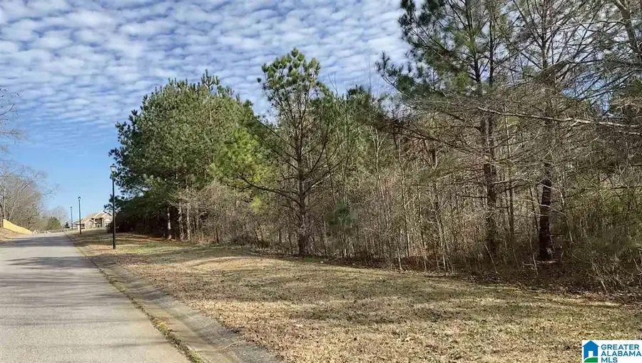 Lot 4 COUNTY ROAD 70, Thorsby, AL 35171 - #2