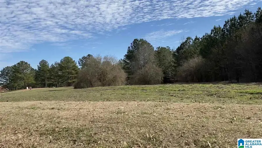 Lot 11 COUNTY ROAD 70, Thorsby, AL 35171 - #3