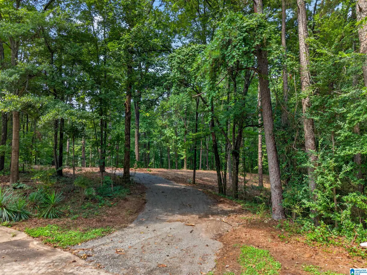 0 HILLTOP STREET, Pell City, AL 35125 - #1