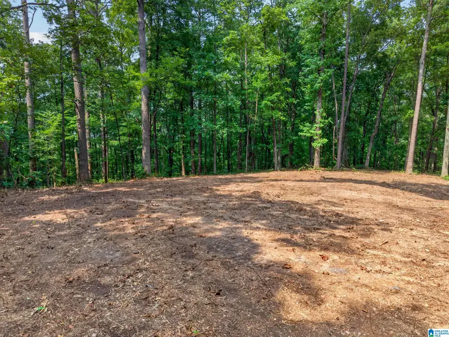0 HILLTOP STREET, Pell City, AL 35125 - #2
