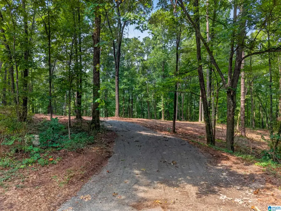 0 HILLTOP STREET, Pell City, AL 35125 - #3