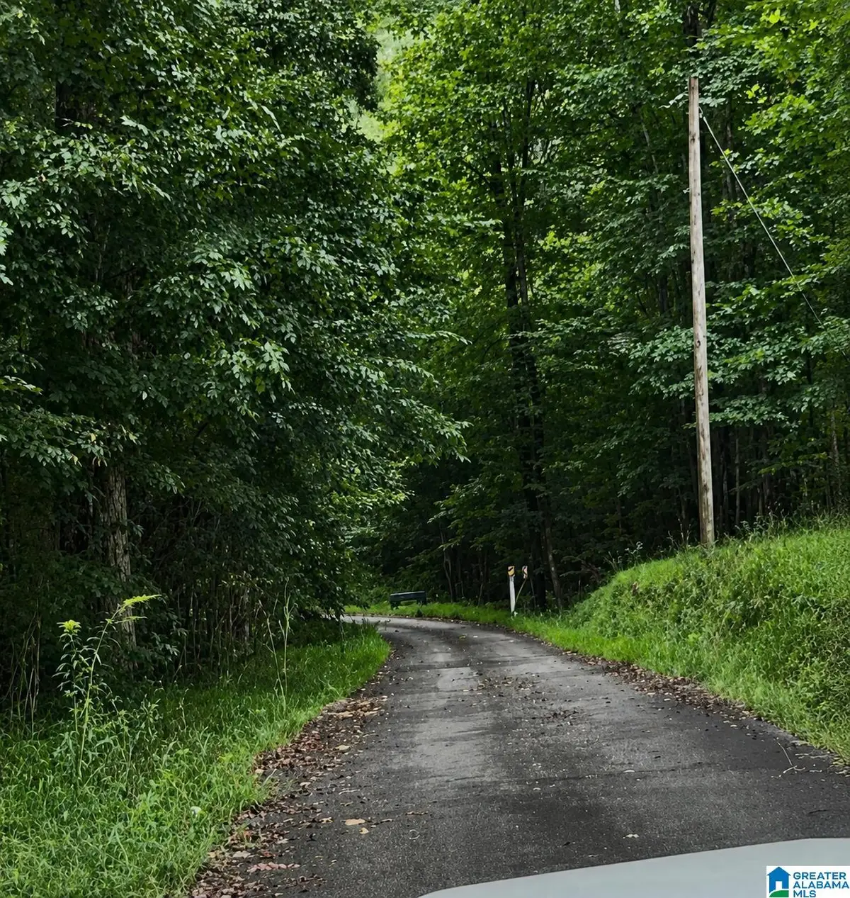 18818 US HIGHWAY 411, Springville, AL 35146 - #1