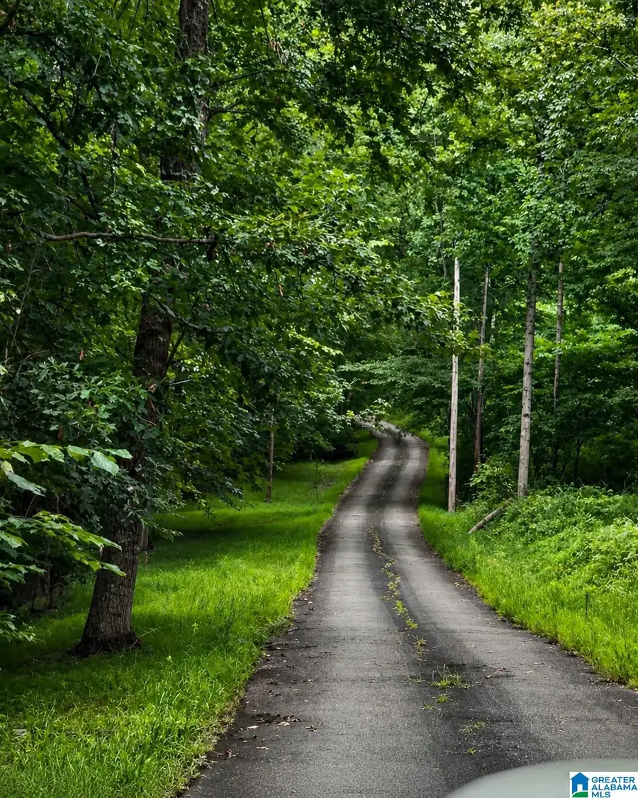 18818 US HIGHWAY 411, Springville, AL 35146 - #2