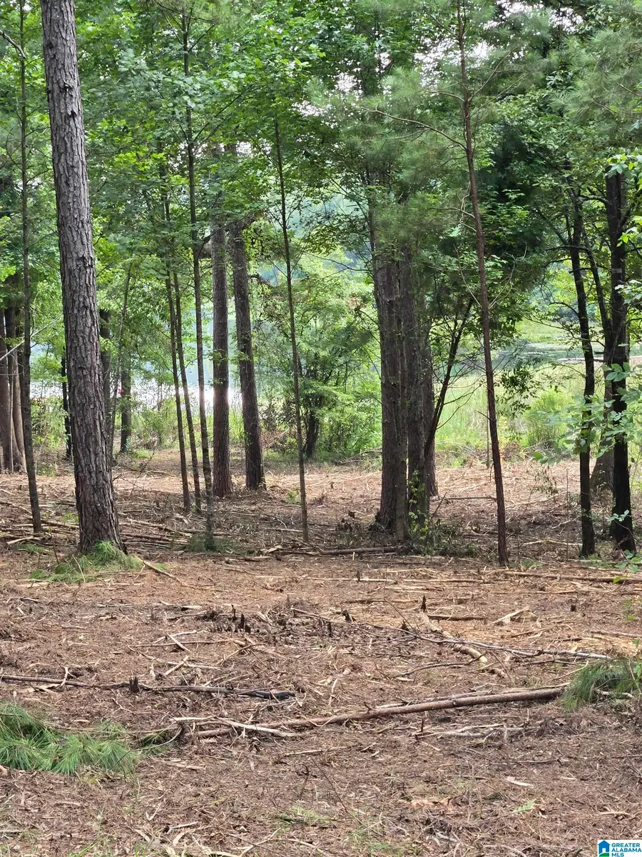 Lot 38 PAINT CREEK OVERLOOK, Sylacauga, AL 35151 - #2