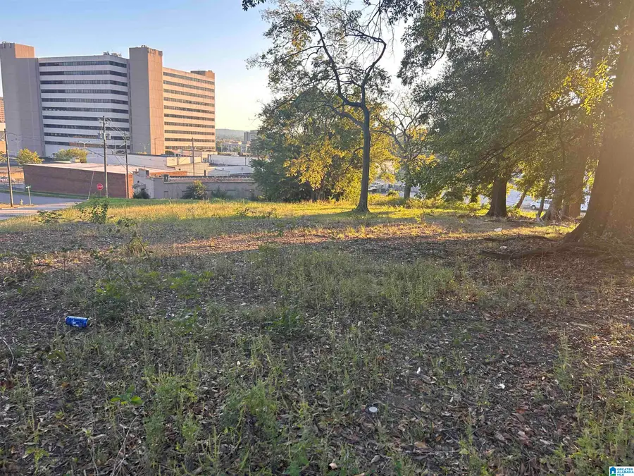 1248 21ST PLACE N, Birmingham, AL 35234 - #2