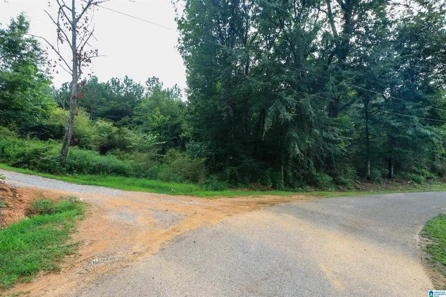 0 WINSLOW AVENUE, Anniston, AL 36206 - #3