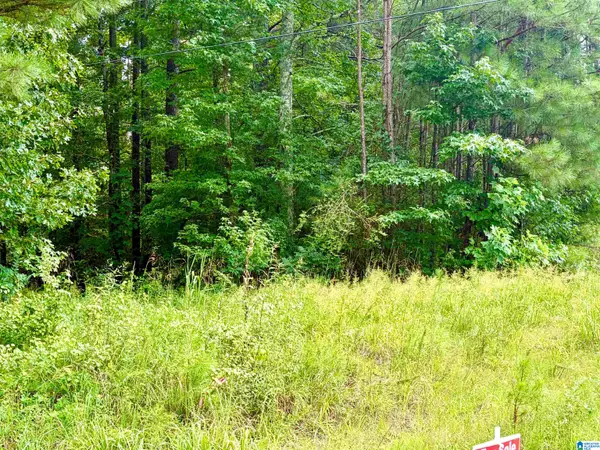 2837 LEHIGH ROAD, Trafford, AL 35172