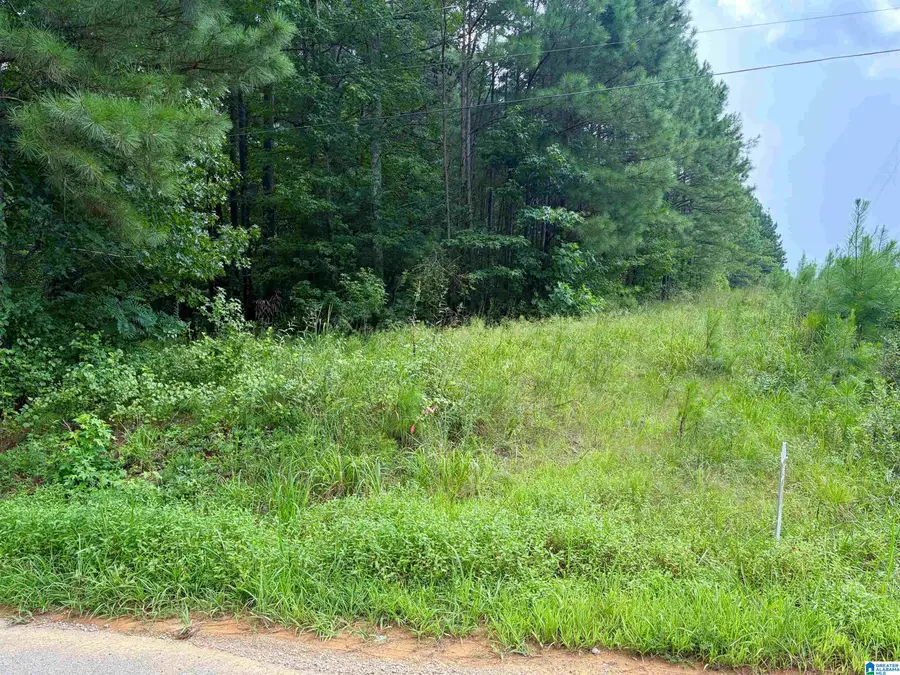 2837 LEHIGH ROAD, Trafford, AL 35172 - #2