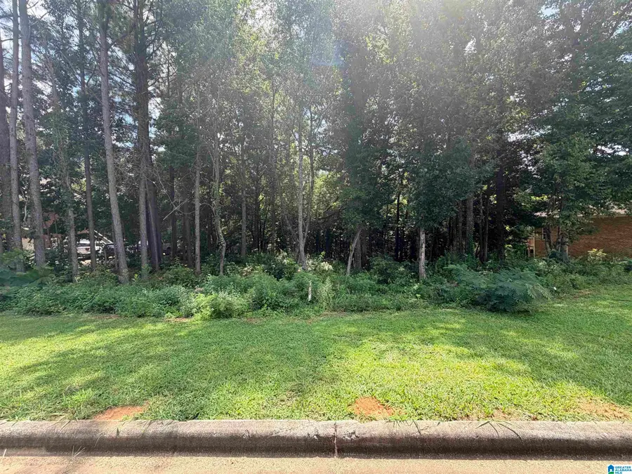 912 BENDING CREEK DRIVE, Bessemer, AL 35023 - #2