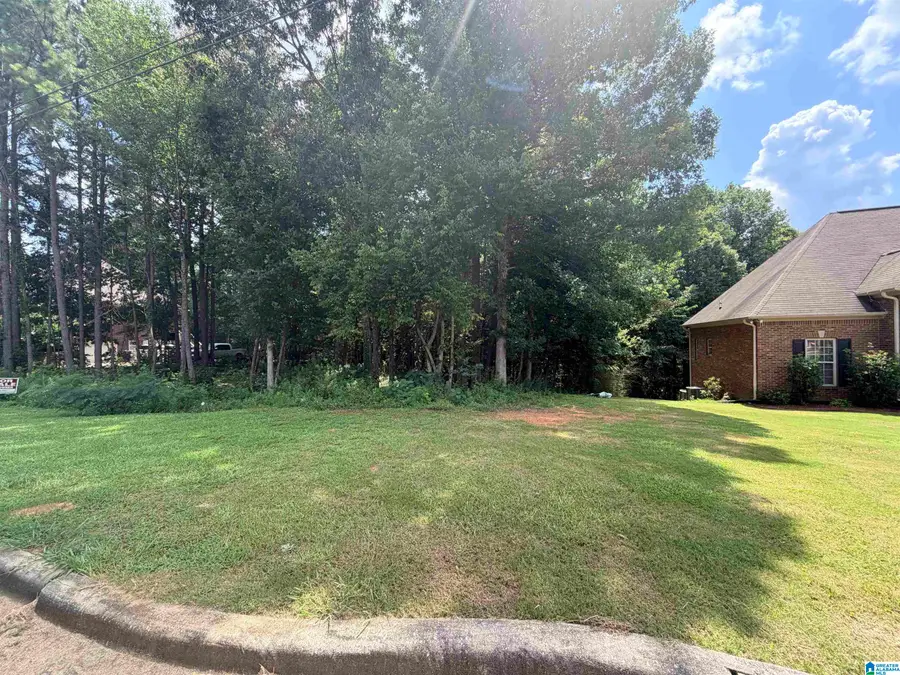 912 BENDING CREEK DRIVE, Bessemer, AL 35023 - #3
