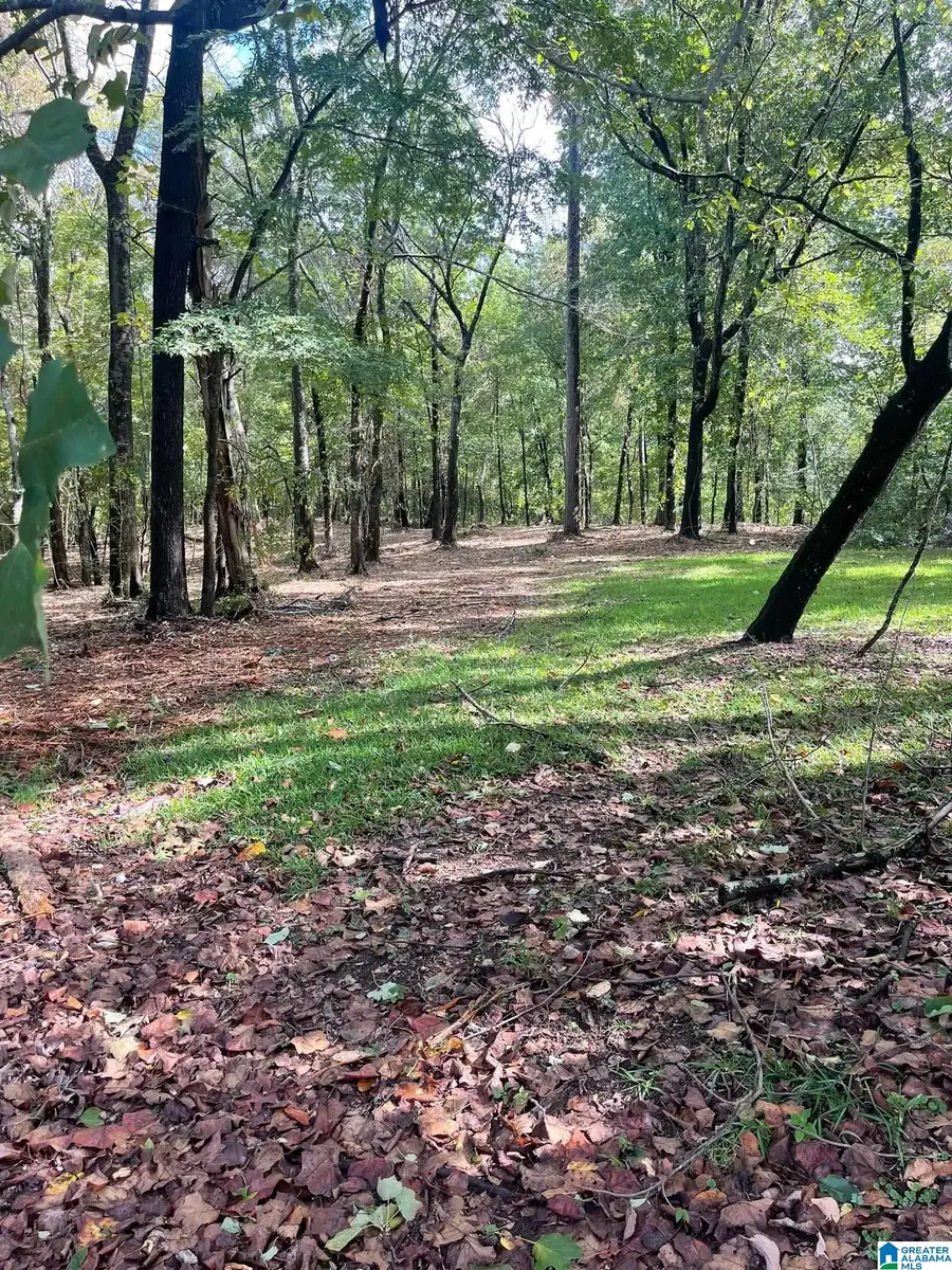 1020 PRATT HIGHWAY, Birmingham, AL 35214 - #2
