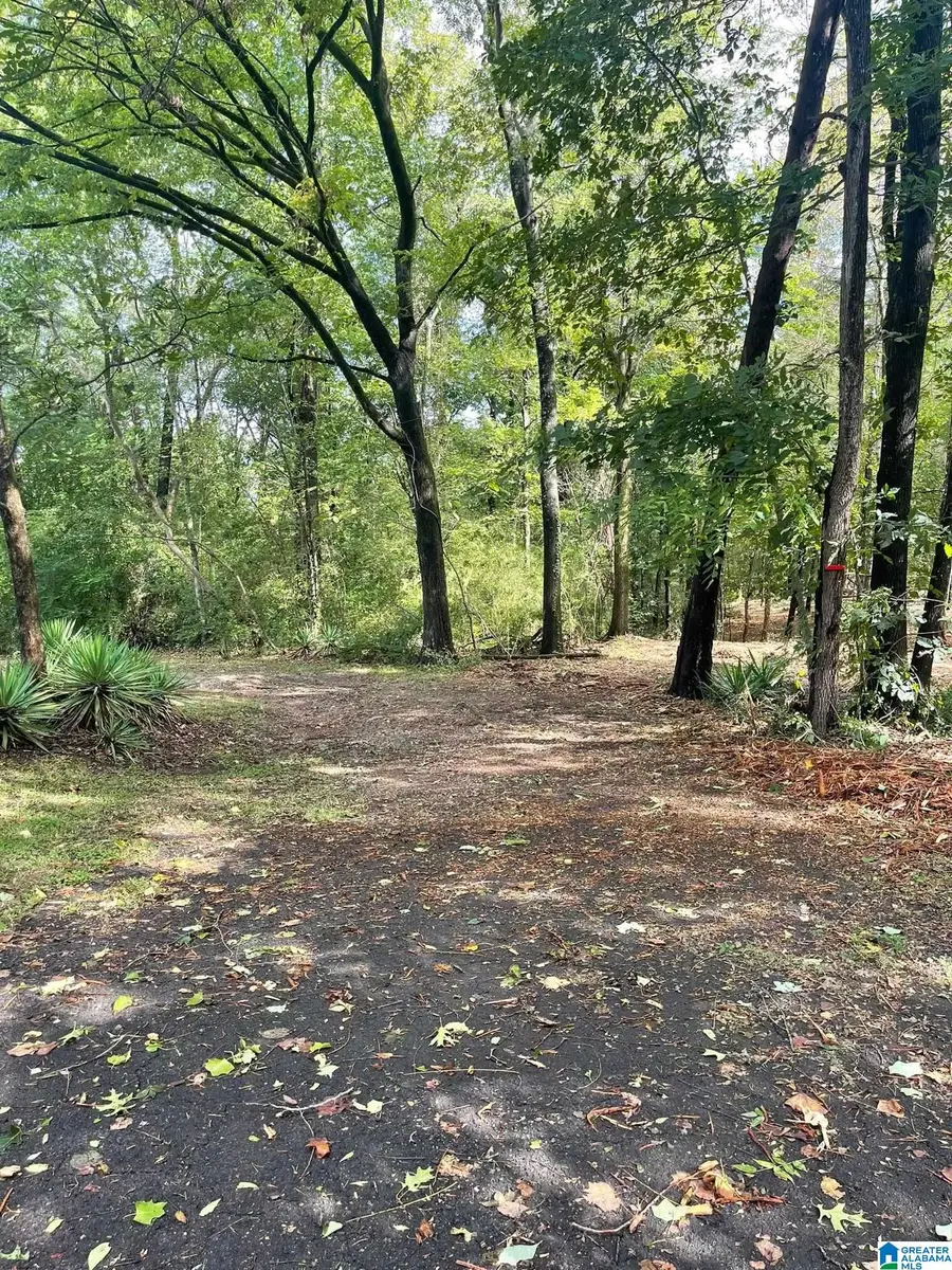 1020 PRATT HIGHWAY, Birmingham, AL 35214 - #3