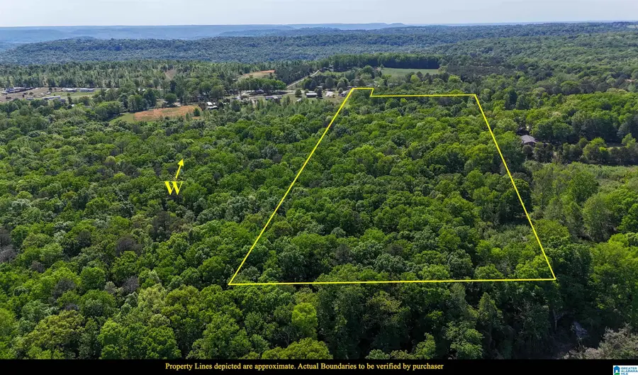 APPLE GROVE ROAD, Somerville, AL 35670 - #3