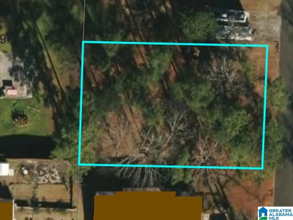 9906 BATES AVENUE, Birmingham, AL 35217 - #1