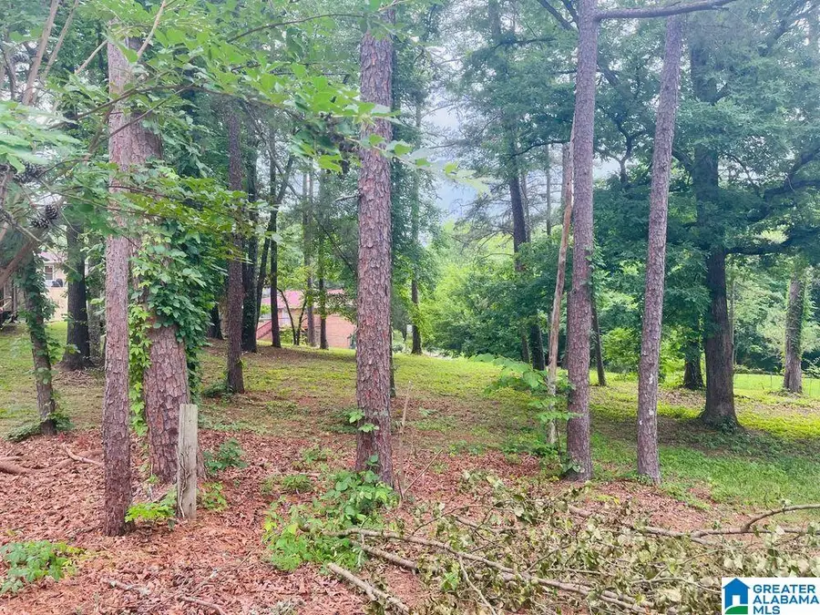 9906 BATES AVENUE, Birmingham, AL 35217 - #2