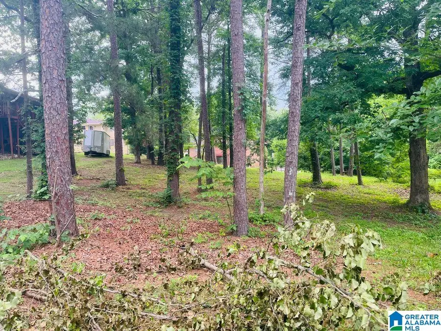 9906 BATES AVENUE, Birmingham, AL 35217 - #3
