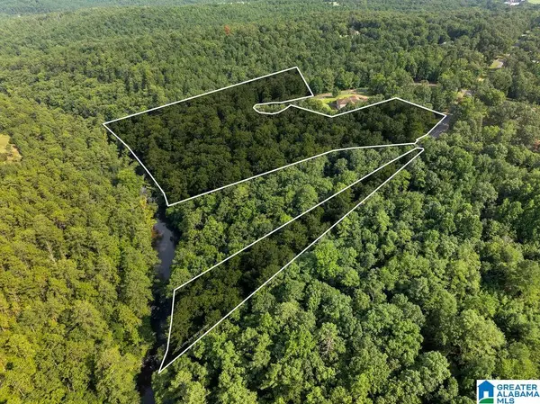 000 ESTATE LANE, Jasper, AL 35504
