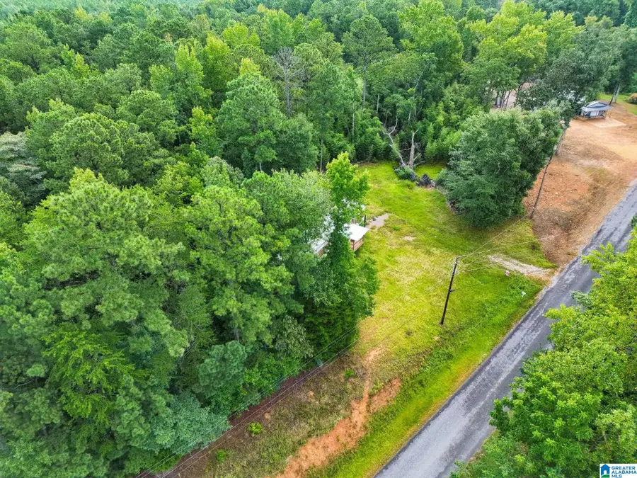 658 COUNTY ROAD 249, Clanton, AL 35046 - #2