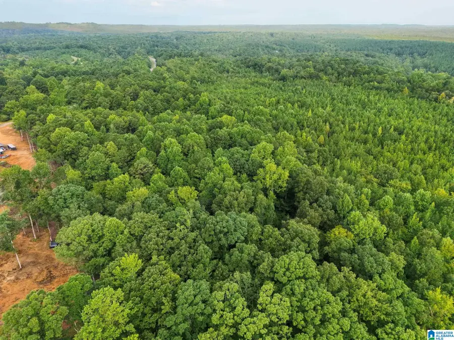 658 COUNTY ROAD 249, Clanton, AL 35046 - #3