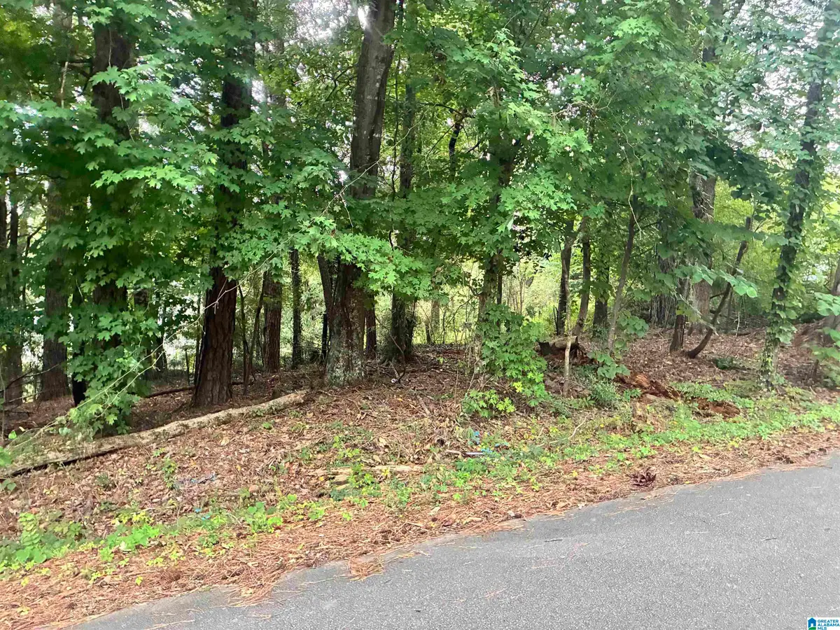316 WARRIOR RIVER HIGHLANDS ROAD, Adger, AL 35006 - #1