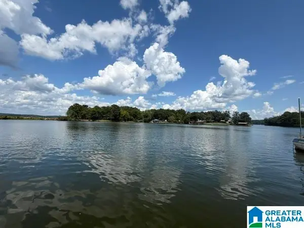 105 HOLLIS COURT ROAD, Vincent, AL 35178