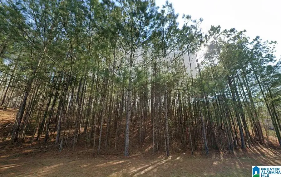 1062 LONG BRANCH PARKWAY, Calera, AL 35040 - #2