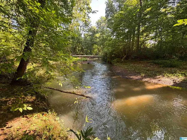 0 ALABAMA HIGHWAY 174, Springville, AL 35146