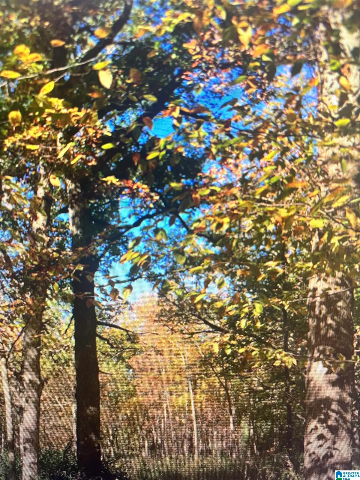 1399 ROCK CREEK ROAD, Bessemer, AL 35023 - #1