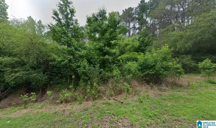 111 VICTORIA ROAD, Nauvoo, AL 35578 - #2