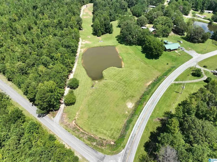 38 CAMP ASCAA DRIVE, Jacksons Gap, AL 36861 - #2