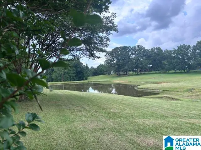 38 CAMP ASCAA DRIVE, Jacksons Gap, AL 36861 - #3