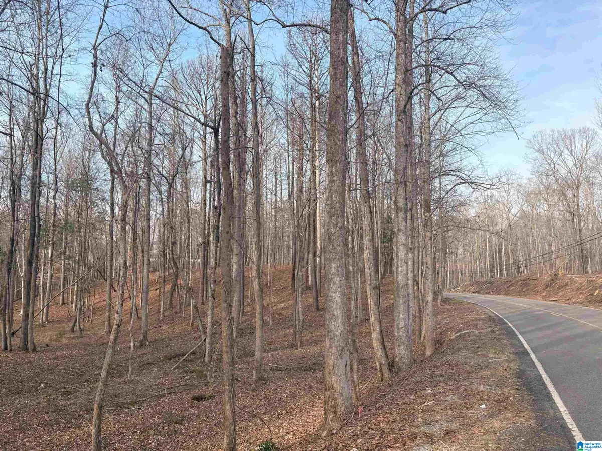 00006 TRUMAN ALDRICH PARKWAY, West Blocton, AL 35184 - #1