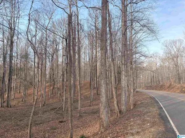 00006 TRUMAN ALDRICH PARKWAY, West blocton, AL 35184