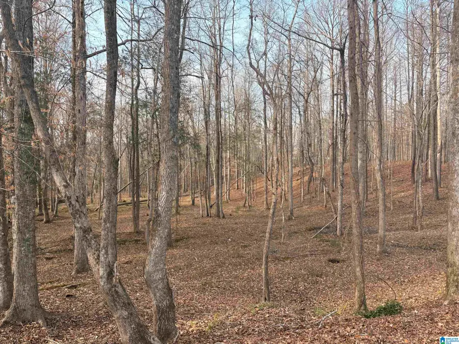 00006 TRUMAN ALDRICH PARKWAY, West Blocton, AL 35184 - #2