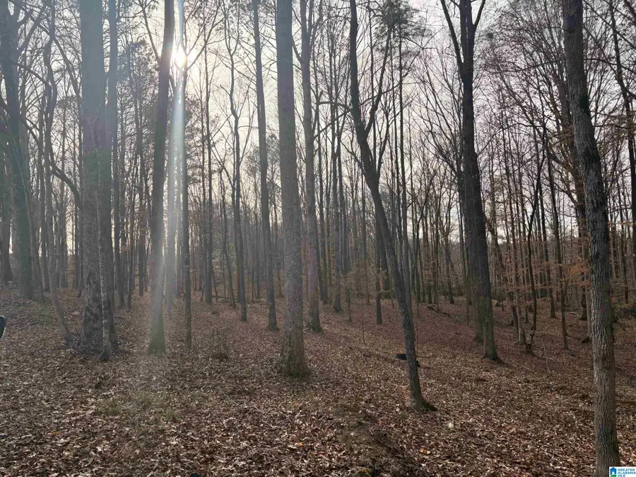 00006 TRUMAN ALDRICH PARKWAY, West Blocton, AL 35184 - #3