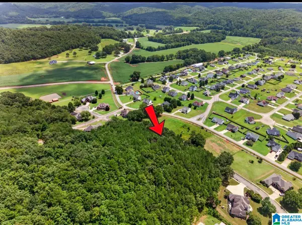 55 CANAAN CIRCLE, Anniston, AL 36207