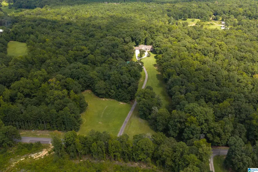 1692 FLORIDA ROAD, Pell City, AL 35125 - #2