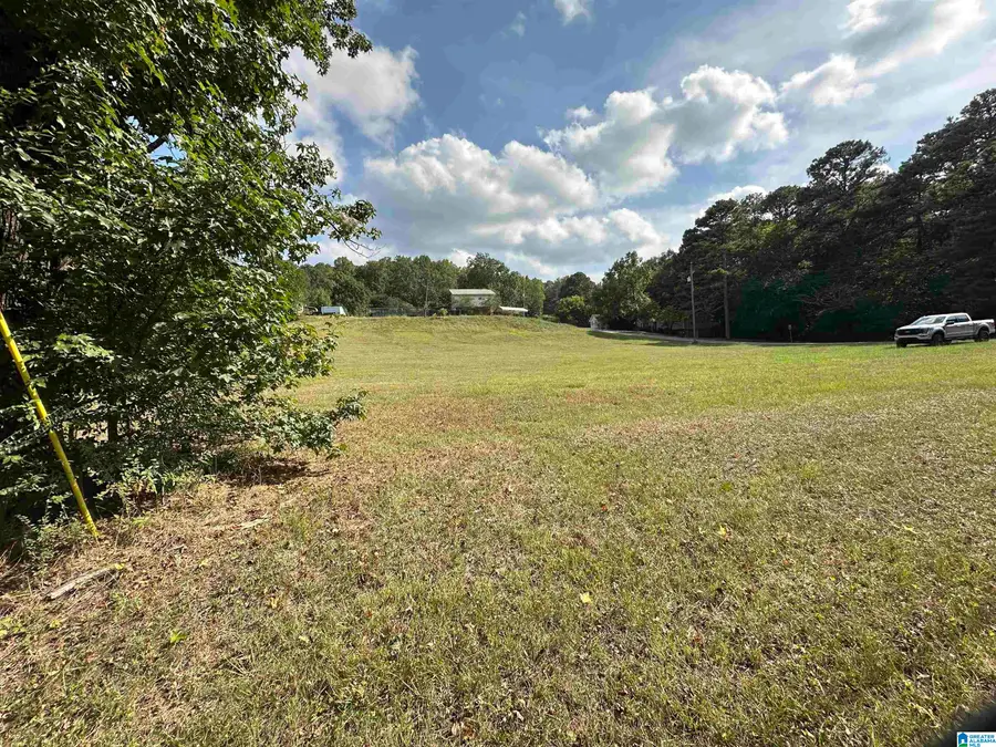 LOT 1 PARK AVENUE, Moody, AL 35004 - #3